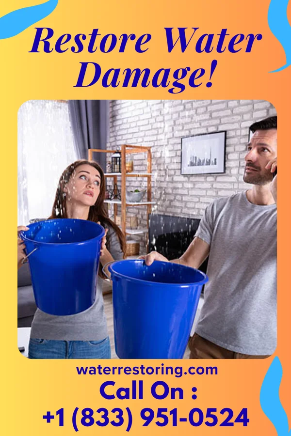 water restoration Sterling Water Mitigation & Associates Gross