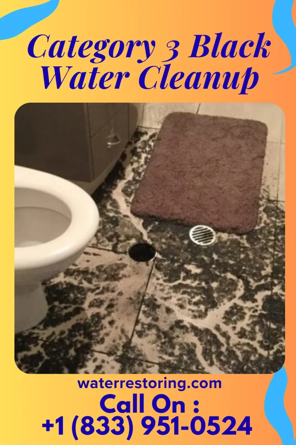 Category 3 Black Water Cleanup in Gross, NE