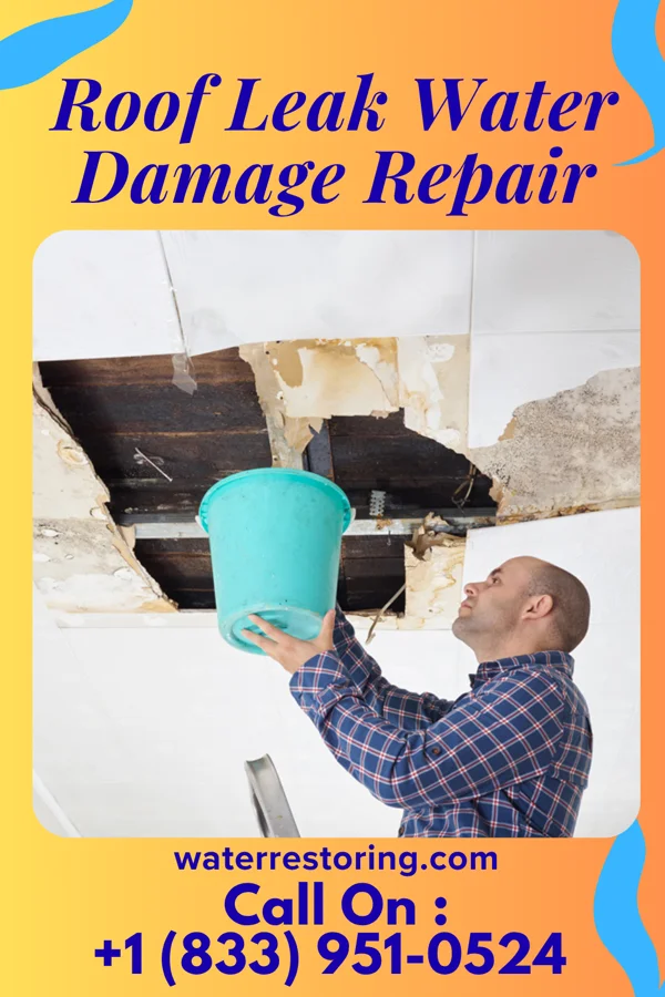 Roof Leak Water Damage Repair in Gross, NE